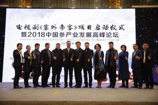 辽宁老总爆料新闻视频,揭秘企业内幕与行业真相